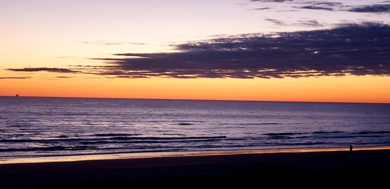 Beachfront Sanctuary Appartamento South Padre Island Esterno foto